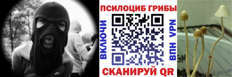 Купить закладки  Ермолино  Псилоцибиновые грибы Psilocybe 